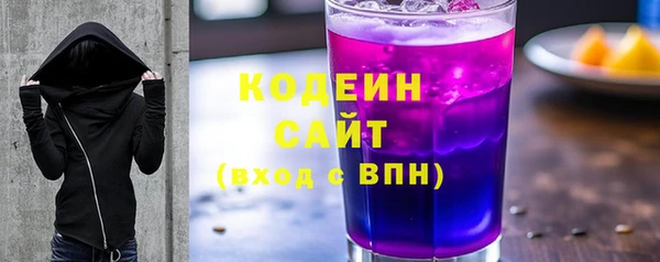 индика Верхний Тагил
