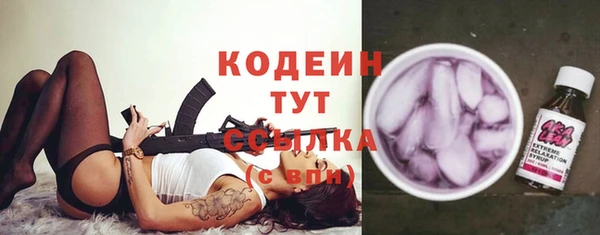 индика Верхний Тагил
