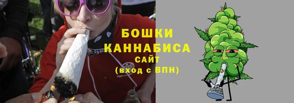 индика Верхний Тагил