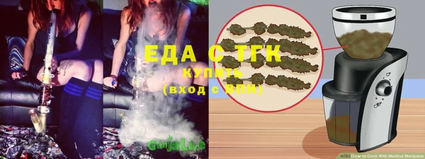 индика Верхний Тагил