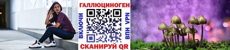 где купить наркоту  Людиново  мега вход  Псилоцибиновые грибы Psilocybe 